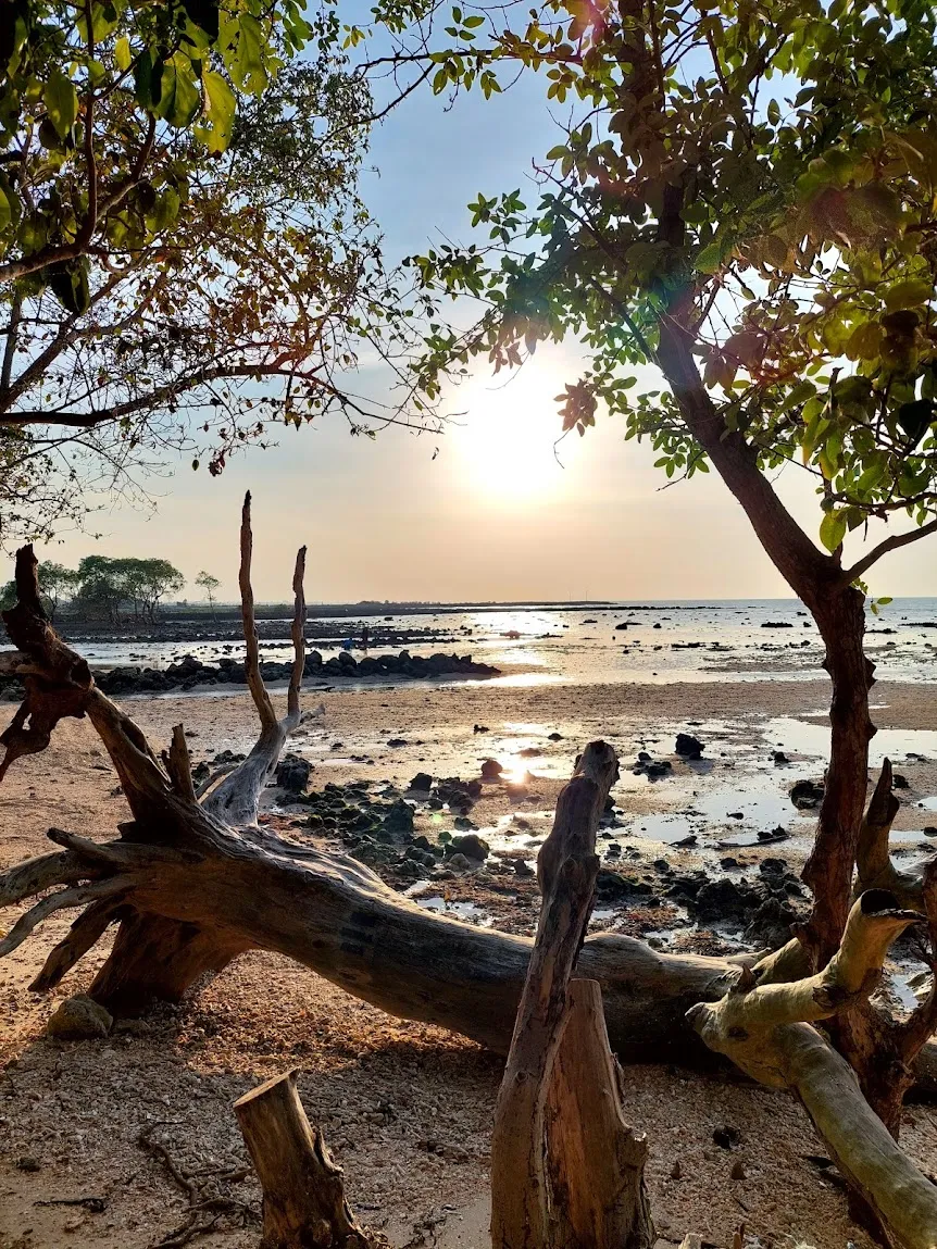 Pantai Joko Mursodo Brondong