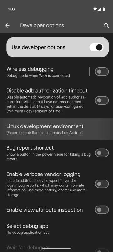 Developer Options